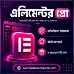 Buy Elementor Pro Cheap Price in Bangladesh | 2026