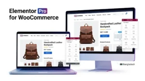 Elementor Pro WooCommerce website builder in Bangladesh